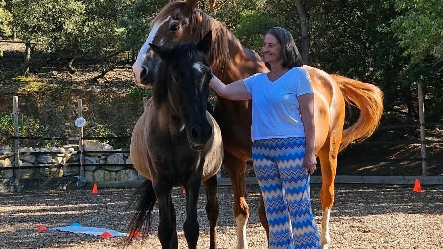 Séance d'équicoaching : une femme entre deux chevaux dans un paddock
